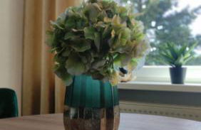 Traumblick FeWo mit Pool - Foto 12