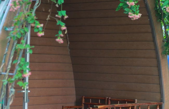 Homestay Tuyet Anh - Foto 15