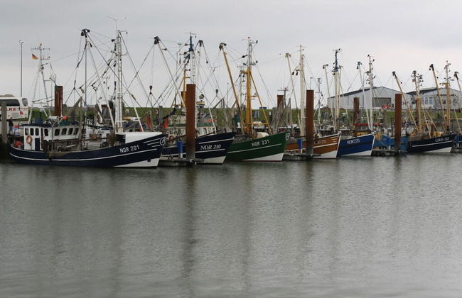 Holiday Apartment Salt Marshes - Foto 15