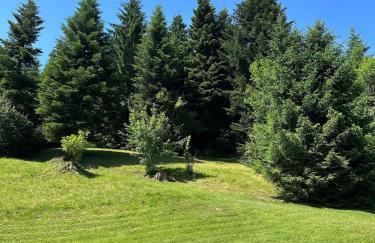 Gîte le Frêne - Foto 8