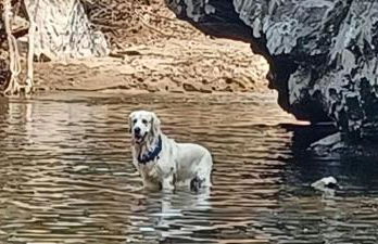 Casas na montanha vistas fantásticas com piscina - Foto 13