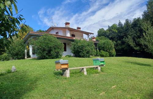 Casa Daniele - Foto 7