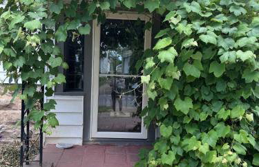 The Paradise House steps from the Heart of Hertel - Foto 33