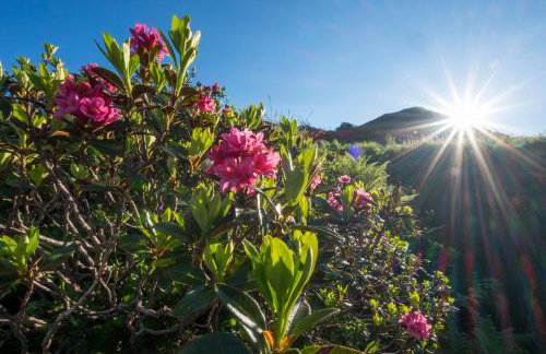 Ferienwohnung Socher "Am Wold" - Foto 3