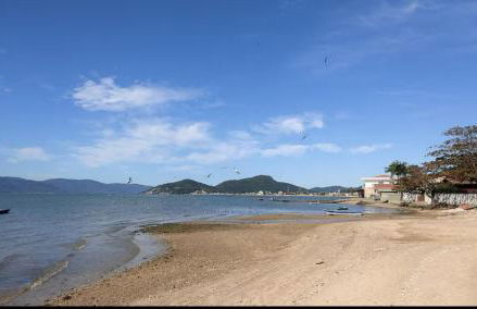 Apartamento frente mar palhoça - Photo 2