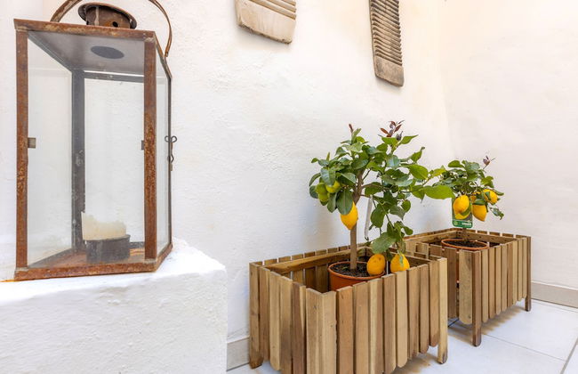 Corte Tiso - Foto 28