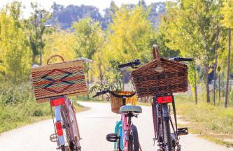 Entire Apartment - A Casa Do Baloico - Cozy Design Apartment in Coruche - Foto 39