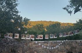 Olive Garden Apartments - Photo 53