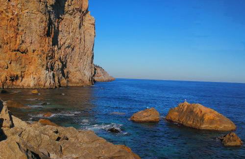 L´Estartit, estudio en primera linea de mar. - Foto 13