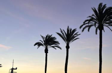 VARADERO 80 - Photo 40