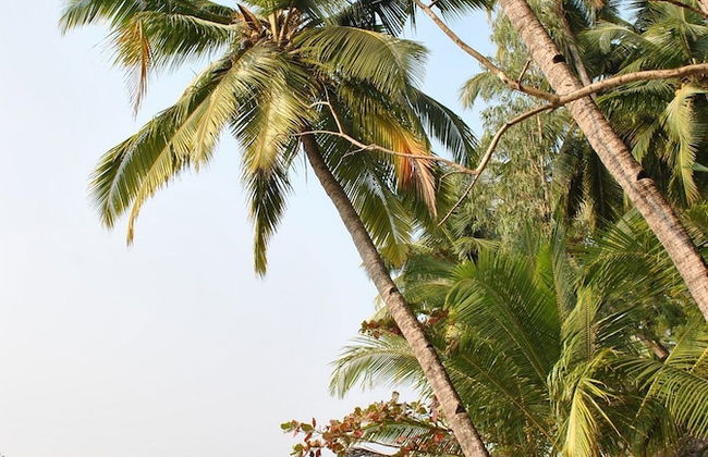 Jacks Place - Foto 29