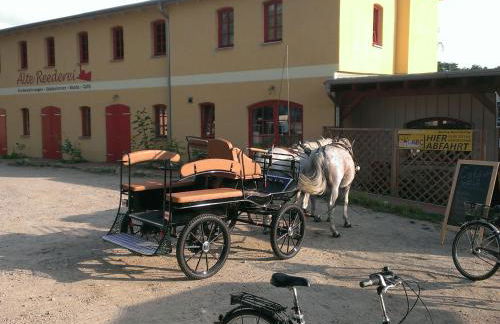 Kulturgasthof Alte Reederei - Foto 15