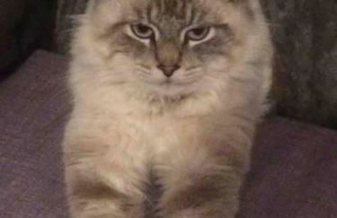 GITE URSUYA 3 étoiles de plain-pied idéalement situé - Foto 53