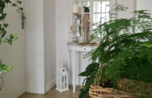 APARTAMENTY "LA VILLA" z prywatnym parkingiem, klimatyzacją, ogrodem, blisko centrum - Foto 54