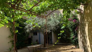 Maison de ville provençale Tarascon 13150 - Foto 5, Garden view