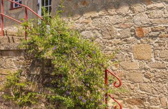 House Sopo - Foto 35