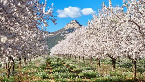 Hotel rural reina Berta - Foto 2