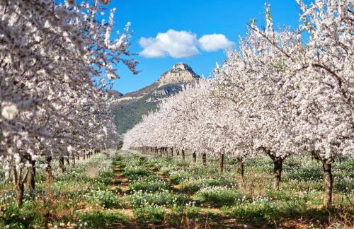 Hotel rural reina Berta - Foto 2