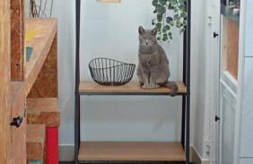 Kanela Guest House B-side - Foto 48