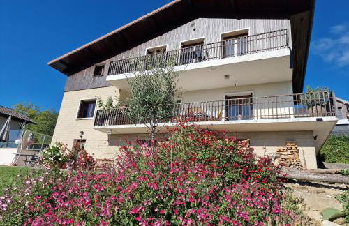 Studio Bellevue appart indépendant rénové 2024 piscine parking proche centre Annecy - Foto 1