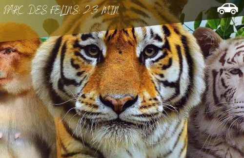 Le 27 - Appartement Cosy - Disney 15min - Foto 33