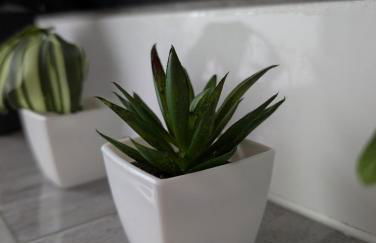 Maisonettewohnung am Badesee bei Kassel - Foto 63