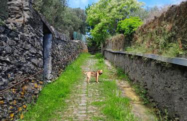 Attico sul Mare By Smart-Home - Foto 37