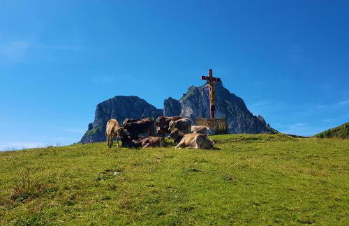 Aggenstein - Helles Studio mit Südbalkon und traumhaftem Bergpanorama in Pfronten Mitte - Foto 20