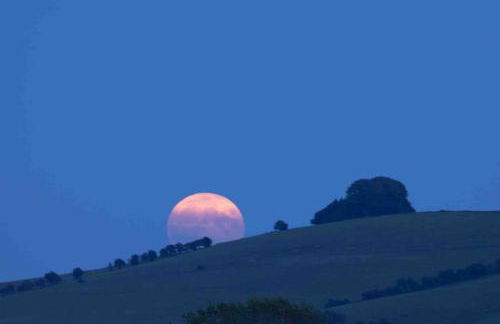 Entire guest suite with gated property - Foto 14