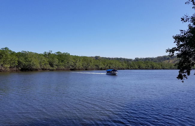 Palm Beach Inn - Foto 17