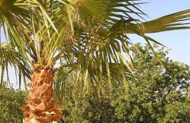 Stratos Villas - Foto 23