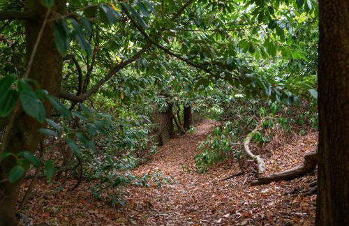 Amos Lodge Deluxe Accommodation - Photo 34