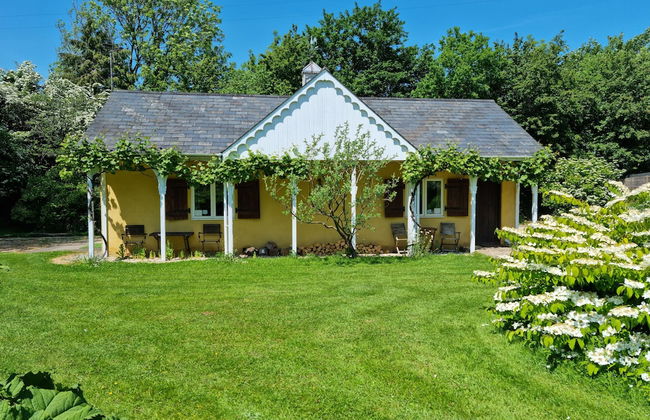 Glyndwr Vineyard - Foto 1