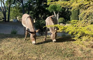 Lodge - Le Clos Devançon - Foto 25