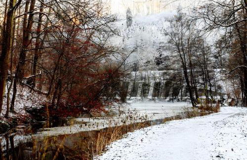 Fewo Waldfeeling - Foto 28