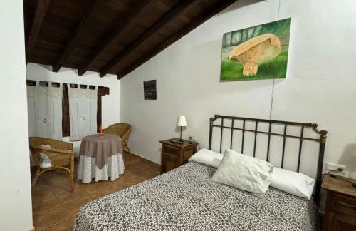 La Casona De Jaraiz - Foto 26