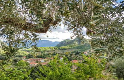 Pilar de la Sima casa rural Arguellite Yeste - Foto 17