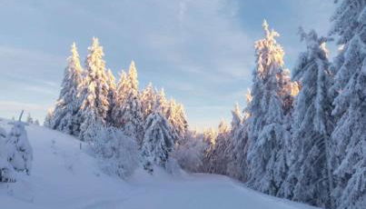 Ferienwohnung Kleine Auszeit - Foto 4