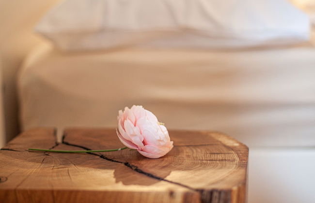 cozy living near Residence with terrace - Photo 19