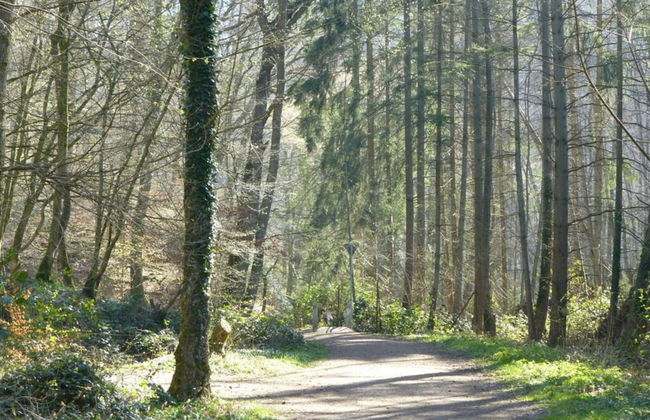 Linden Leaf" Left Comfortable Vacation Home - Foto 12