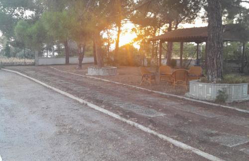 Costa Mama VIlla - Photo 50