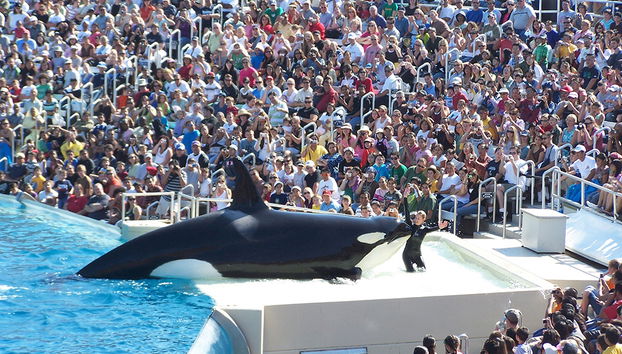 SeaWorld San Diego - Foto 2
