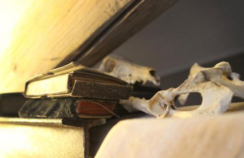 My Tasse de Thé - Foto 21