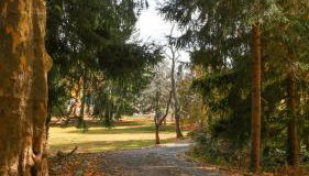 Long Island Nature Retreat with Peloton with Shared Pool - Foto 4