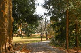 Long Island Nature Retreat with Peloton with Shared Pool - Foto 4