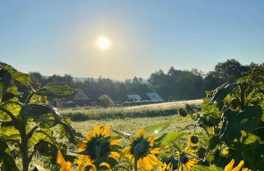 Polańczyk Dom, Apartamenty - Leśny Domek Polańczyk - Photo 44