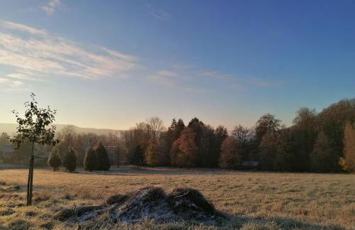 Ferienwohnungen an der Hufeland-Therme - Foto 36