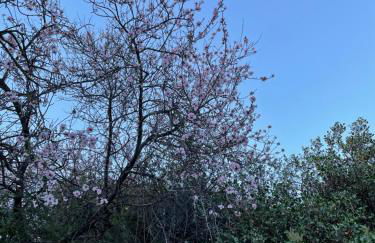 Villa Montaña Colorada - Foto 48