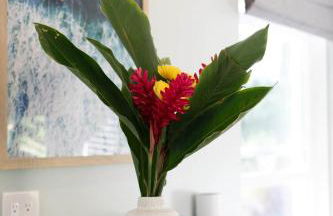 North Shore Palms - Foto 13