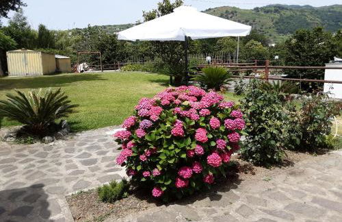 Le Castagne Apartments Ischia - Foto 7